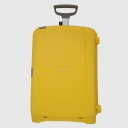 Samsonite,  , d18.006.064